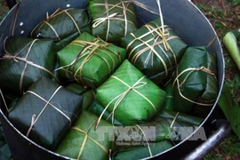 Experimentan turistas extranjeros elaboración de pastel típico de Tet en Vietnam