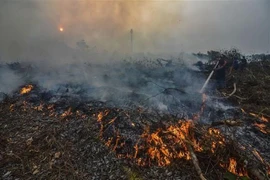 Mantienen en Malasia la suspensión de clases por contaminación ambiental 