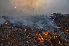 Mantienen en Malasia la suspensión de clases por contaminación ambiental 