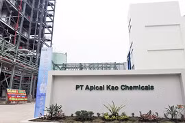 Construye empresa japonesa nueva fábrica de ácidos grasos en Indonesia