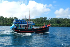 Ofrecen asistencia financiera a pescadores vietnamitas en alta mar