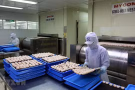 Aumenta valor de la inversión extranjera directa en Ciudad Ho Chi Minh
