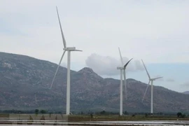 Abogan por desarrollar fuentes de energía renovable en provincia vietnamita de Ninh Thuan