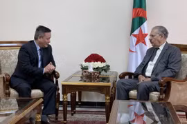 Patentizan en Argelia compromiso de fomentar cooperación multifacética con Vietnam