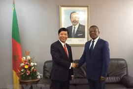 Proyecta Vietnam ampliar sus relaciones con la República de Camerún