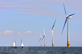 Valoran en Vietnam desarrollo del mayor proyecto sobre energía eólica marina
