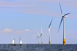 Valoran en Vietnam desarrollo del mayor proyecto sobre energía eólica marina