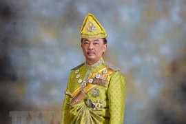 Proclaman al sultán de Pahang como nuevo rey de Malasia