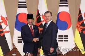Corea del Sur y Brunei acuerdan potenciar la cooperación tecnológica