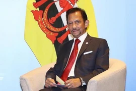 Celebran en Brunei cumpleaños del sultán Hassanal Bolkiah