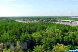 Respalda organización ecologista mundial conservación de la biodiversidad forestal en Vietnam