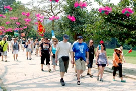 Visitan Vietnam representantes de 40 agencias de viaje europeas para potenciar turismo