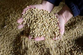 Países de Mercosur aspiran a convertirse en principales proveedores de alimentos de ASEAN