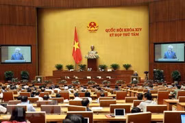 Prosigue Parlamento de Vietnam debate de diferentes leyes