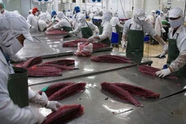 Aumentan exportaciones de atún vietnamita a Italia