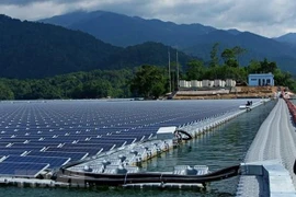 Destacan en Vietnam la necesidad de desarrollar la energía renovable