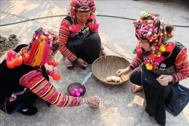 Reconocen en Vietnam al ritual Ga Ma Thu como patrimonio cultural intangible