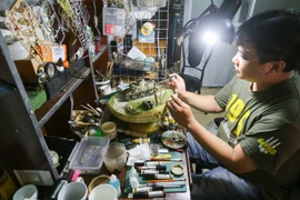  Artesano vietnamita Xuan Giang, el mago de las maquetas 