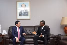 Muestra Vietnam interés en impulsar asociación multifacética con Camerún