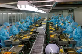 Alcanzó Vietnam superávit comercial de 711 millones de dólares en primer cuatrimestre 