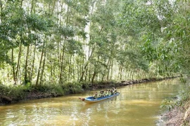 Intercambian Vietnam y Taiwán conocimientos sobre cambio climático en Delta de Mekong 