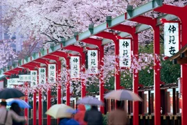 Creció el turismo vietnamita a Japón más de un 40 por ciento en mayo
