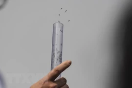 Intensifica Laos sus esfuerzos en la lucha contra el dengue