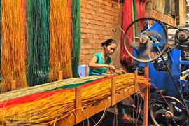 Promueve Vietnam oficio de elaboración de esteras tejidas Long Dinh