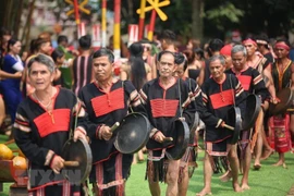 Preservan y promueven valores culturales de las etnias en Vietnam 