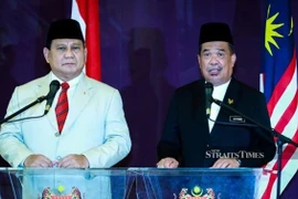 Intensifican Malasia e Indonesia cooperación en defensa