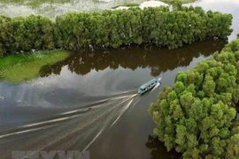 Lanzan en Vietnam concurso de pintura en respuesta al cambio climático