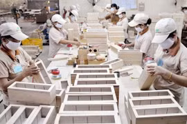 Discuten en Vietnam sobre construcción del sistema de garantía legal del comercio maderero