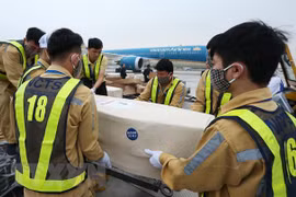 Repatrian restos de víctimas vietnamitas de la tragedia en Essex