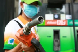 Promueve Tailandia uso de biocombustibles para apoyar agricultura