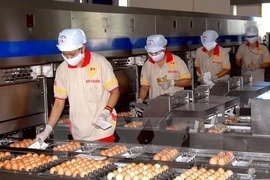 Alcanzarán exportaciones ganaderas de Vietnam 1,2 mil millones de dólares este año