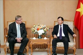 Estimula Vietnam inversión extrajera en proyectos de energía renovable 