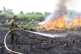 Insta premier vietnamita a reforzar medidas preventivas contra incendios forestales 