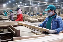 Vietnam entre principales países exportadores de madera a Alemania