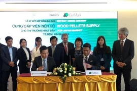 Impulsa empresa vietnamita exportación de pellets de madera al mercado japonés