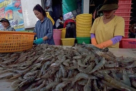 Exportaciones de camarones de Tailandia crecerán 20 por ciento en 2020