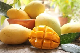 Promueven introducir el mango vietnamita de Hoa Loc en Corea del Sur