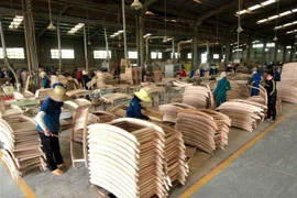 Se empeña sector forestal de Vietnam en llegar a 11 mil millones de dólares por exportaciones