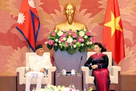 Proyectan apertura de ruta aérea directa entre Vietnam y Nepal 