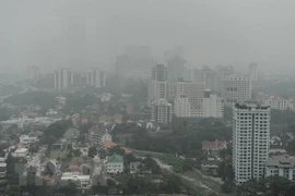 Cierra Indonesia más de 30 campos de explotación forestal para reducir incendios 