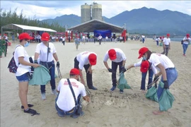 Participan más de 800 voluntarios vietnamitas en programa medioambiental 