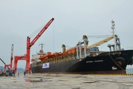 Recibe puerto en provincia vietnamita de Binh Thuan primer barco extranjero