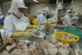  Reportan buenas perspectivas para sector acuícola de Vietnam en 2019