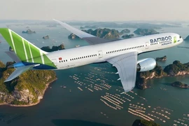 Sector aéreo vietnamita mantiene ritmo de crecimiento 