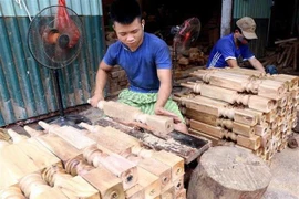 Cumplen más de cuatro mil comunas vietnamitas criterios de nueva ruralidad 