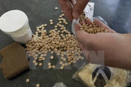 Incautan más de 90 mil pastillas de droga en frontera entre Vietnam y Laos